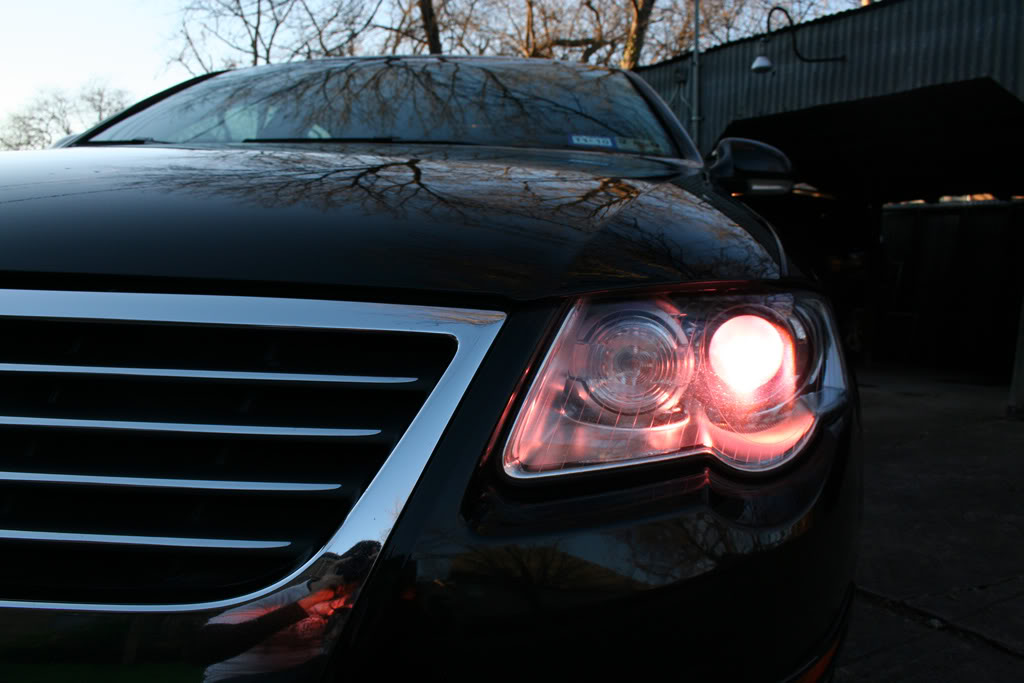 Name:  pinkeye.jpg
Views: 390
Size:  88.7 KB