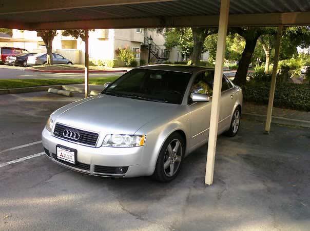 Name:  PalmPrefrontapartment.jpg
Views: 74
Size:  55.8 KB