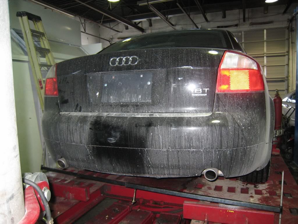 Name:  Picture1131024x768.jpg
Views: 29
Size:  139.7 KB