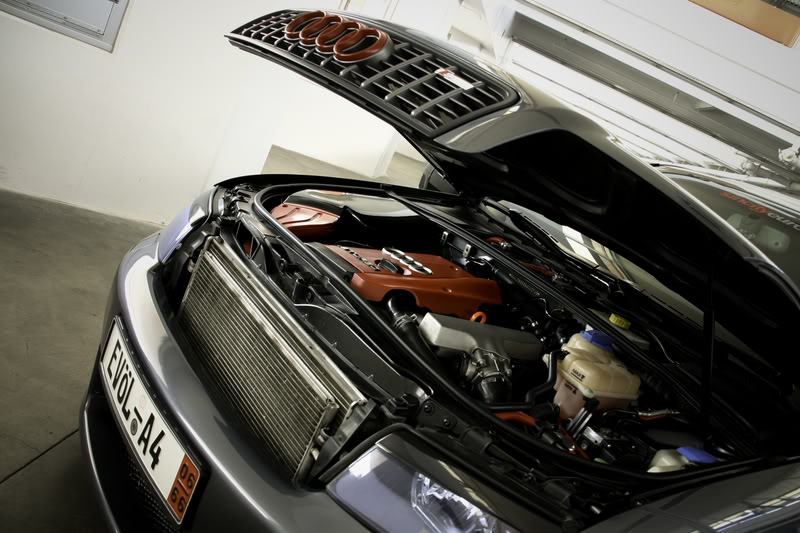 Name:  IMG_0026-2.jpg
Views: 31
Size:  93.0 KB