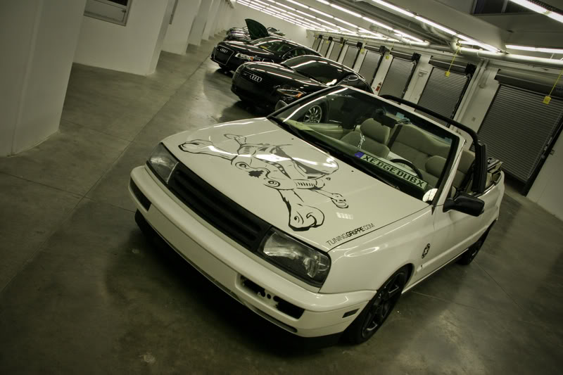 Name:  IMG_00312.jpg
Views: 60
Size:  74.8 KB