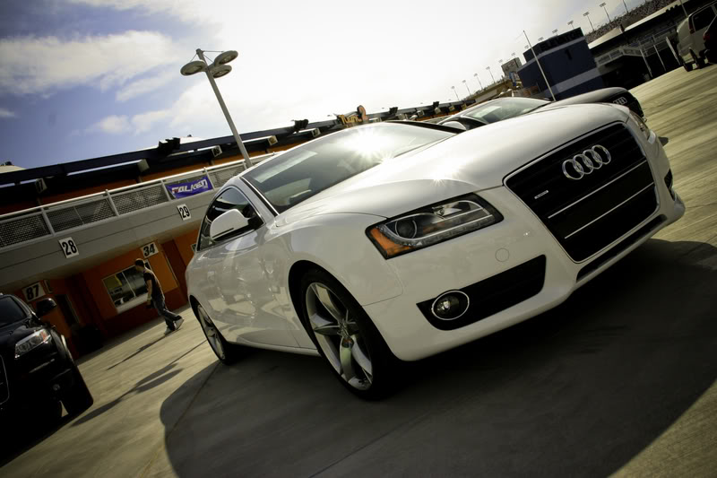 Name:  IMG_0123-1.jpg
Views: 46
Size:  71.1 KB