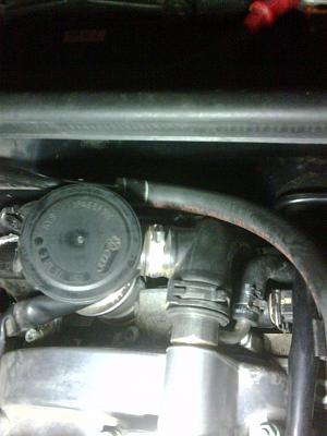 Requesting some information...-blackberry-pics-028.jpg