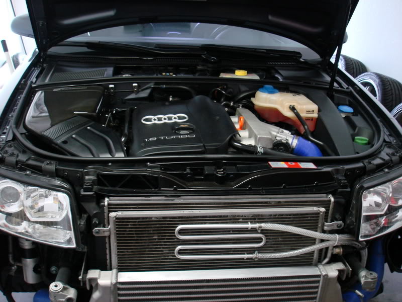 Name:  DSC00971.jpg
Views: 463
Size:  94.3 KB