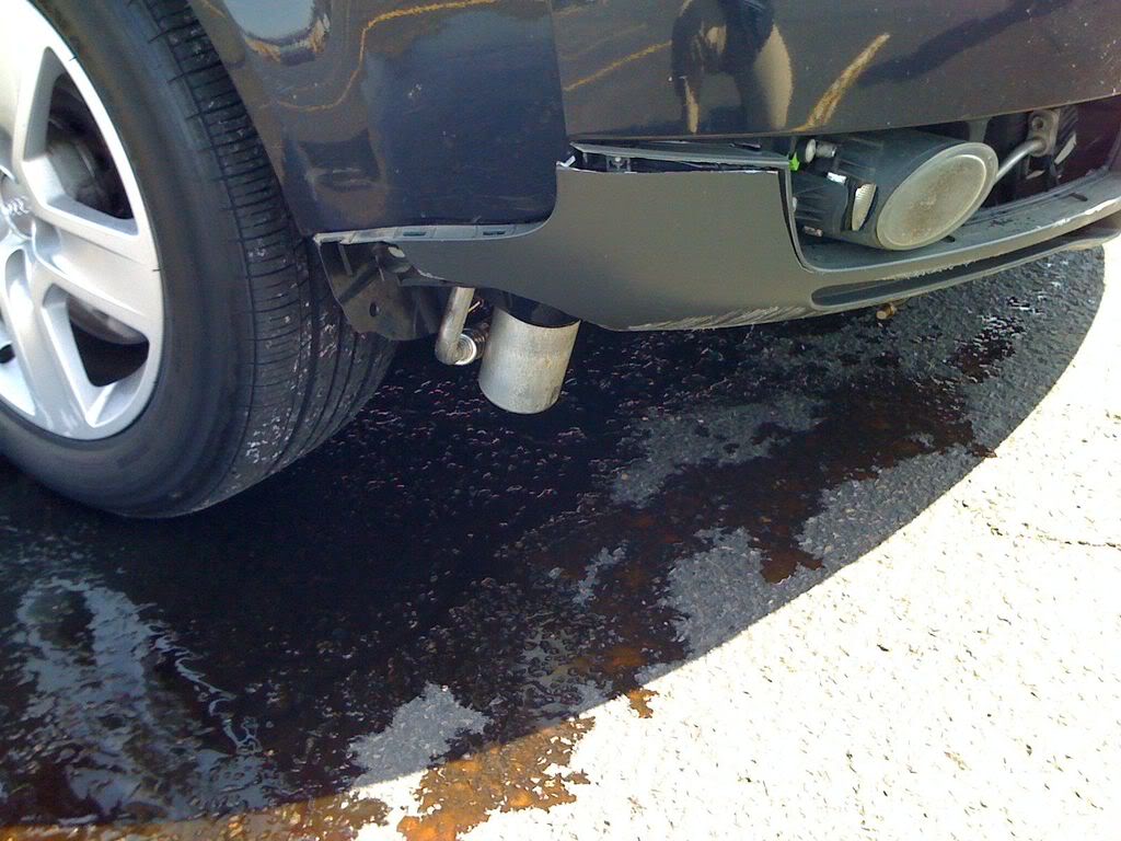 Name: IMG_0010.jpg
Views: 112
Size: 122.2 KB