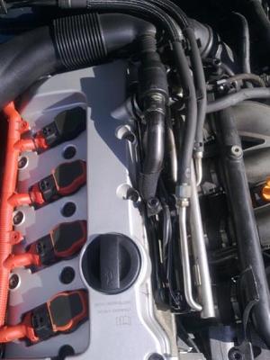 Crankcase breather hose-afb0505.jpg