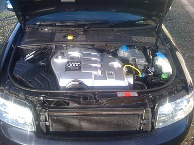 Diesel Dump Valve-img_0205.jpg