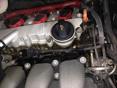 Oil Around Heads-photo-1.jpg