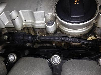 Oil Around Heads-photo-2.jpg