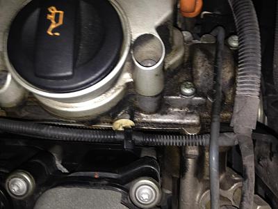 Oil Around Heads-photo-3.jpg