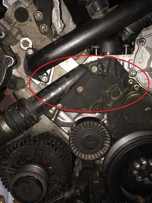 What is this?-img_0958.jpg