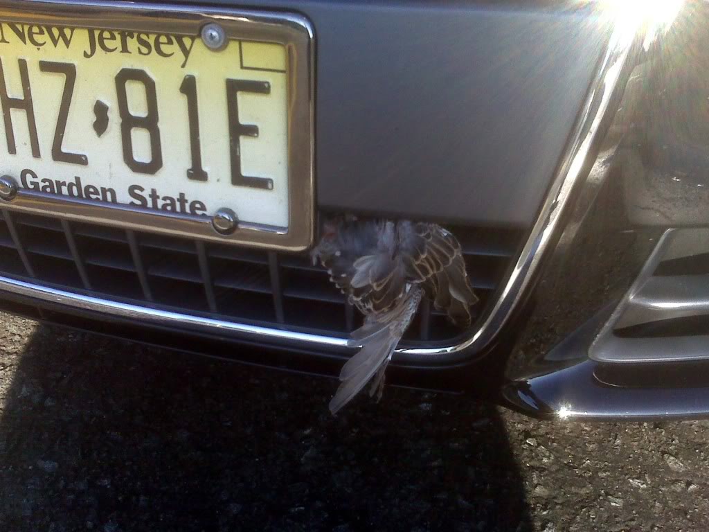 Name:  IMG00178.jpg
Views: 52
Size:  103.3 KB