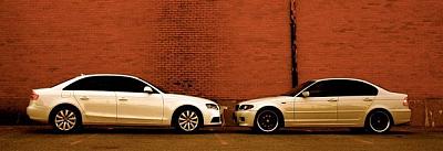 Brand new Ibis White A4 premium plus with pics-5690_111734086545_648561545_2361010_1340203_n.jpg