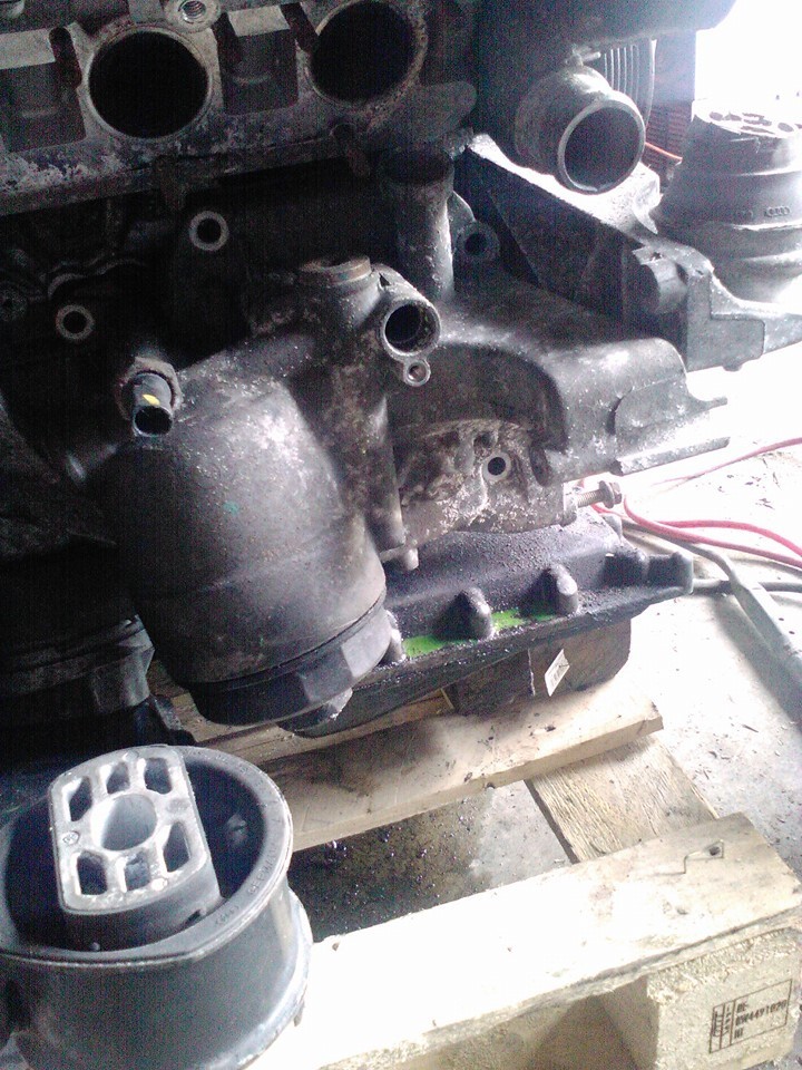 Name: 11150401_10104032870612442_4357998360356270162_n_zpsdh6a1jad.jpg
Views: 2371
Size: 222.2 KB