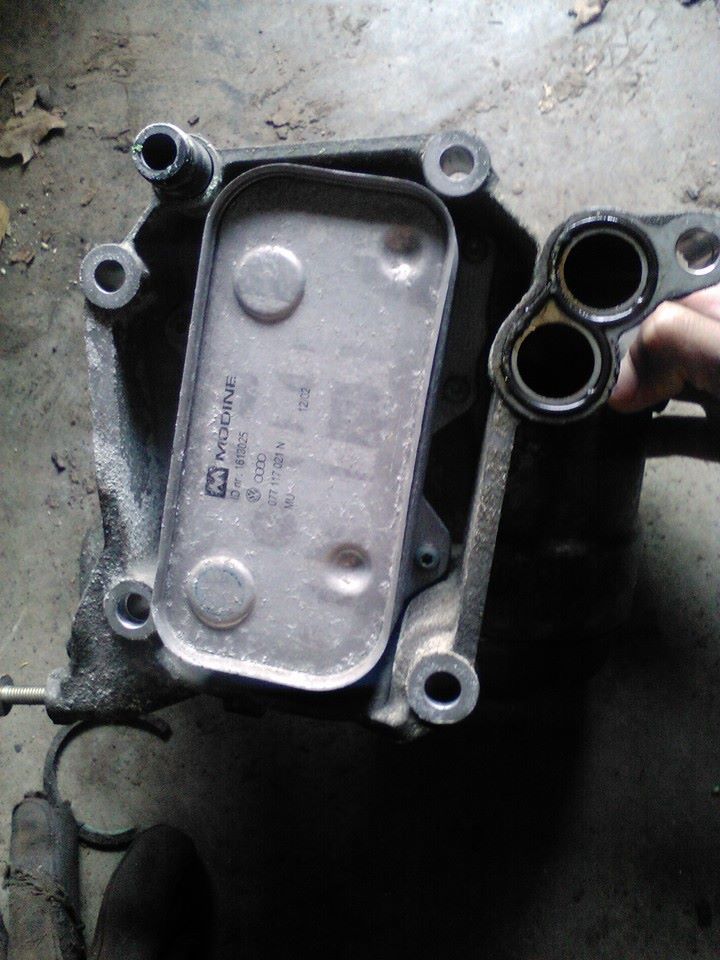 Name: 11110170_10104032874409832_1899332923478651568_n_zps9mg6vngr.jpg
Views: 2380
Size: 101.7 KB