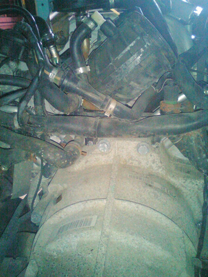 Name: 11088233_10104020566989002_5475098990985149063_n_zps2w9qq9dt.jpg
Views: 2406
Size: 177.2 KB