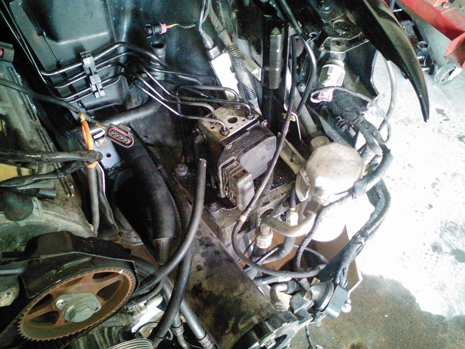 Name: 11091337_10104020576654632_2753520072087143545_n_zps7qak4twy.jpg
Views: 2360
Size: 164.5 KB