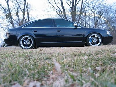 Chop request!!-img_1526.jpg