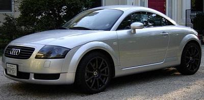 Illustrator/Photoshop image for Arch. Entourage-tt-underlay.jpg