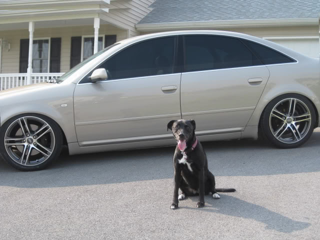 Name:  untitled-5.jpg
Views: 40
Size:  66.3 KB