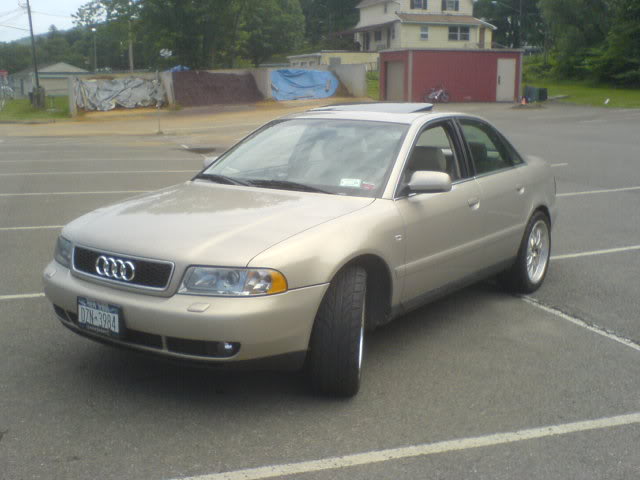 Name:  DSC00284.jpg
Views: 52
Size:  39.1 KB