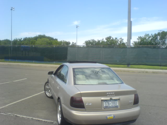 Name:  DSC00290.jpg
Views: 48
Size:  32.4 KB