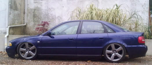 Name:  slamm6amba.jpg
Views: 25
Size:  34.7 KB