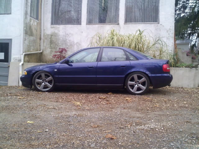 Name:  audib5rs4w.jpg
Views: 33
Size:  94.5 KB