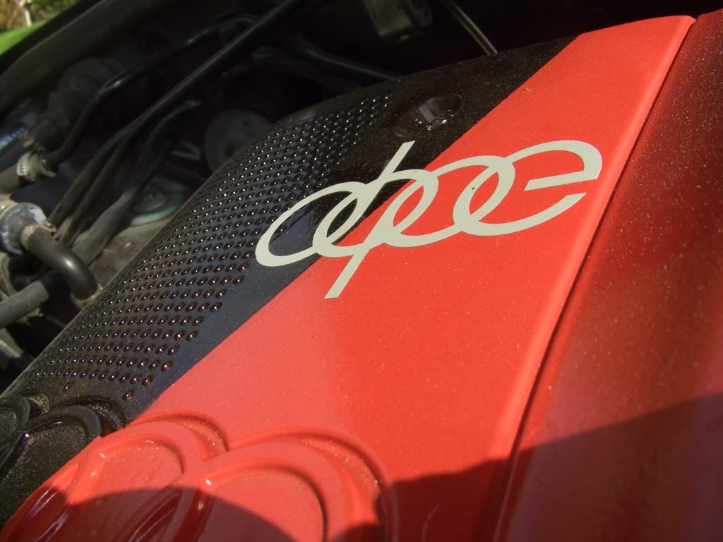 Name:  Audia4084.jpg
Views: 21
Size:  128.3 KB