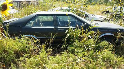 Recent purchase.-quattroside.jpg