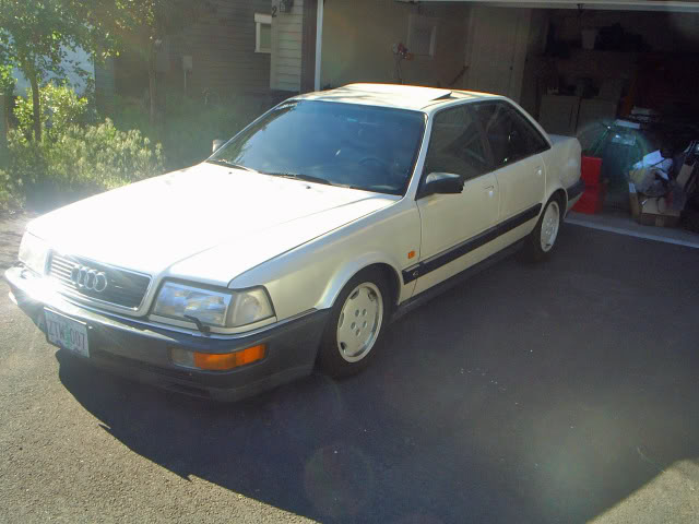 Name:  S3011555.jpg
Views: 102
Size:  56.6 KB
