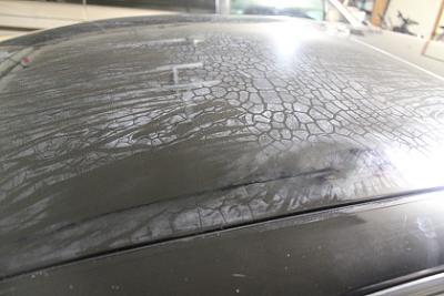 Oxidation on the roof of my '02 A4?-img_2796.jpg