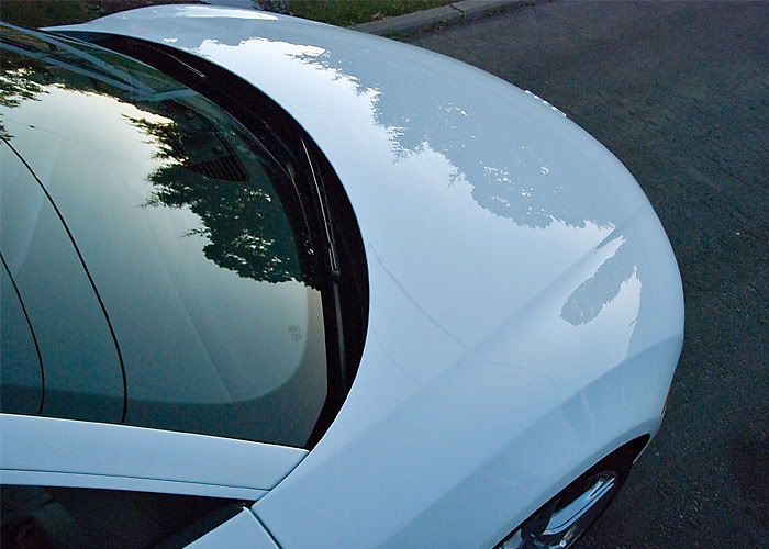 Name:  85.jpg
Views: 144
Size:  68.7 KB