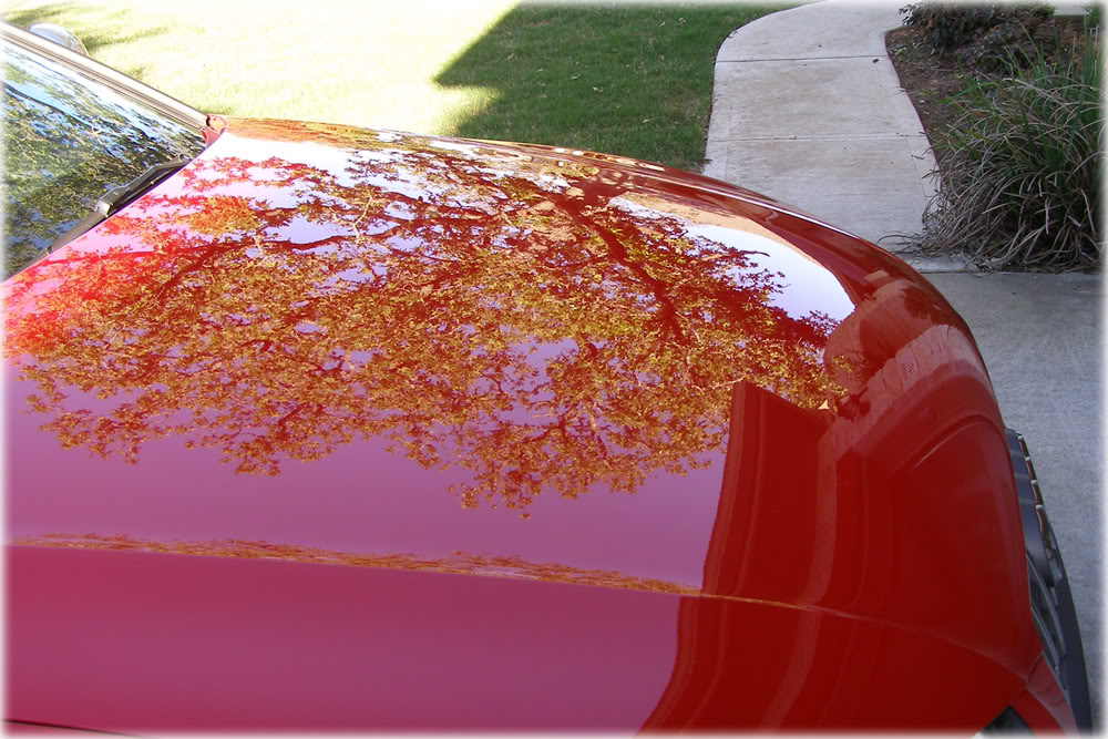 Name: 2010_AudiS5_red13.jpg
Views: 268
Size: 166.5 KB