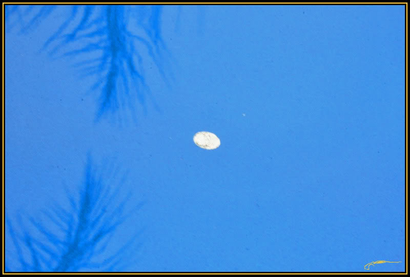 Name:  4857.jpg
Views: 560
Size:  44.3 KB