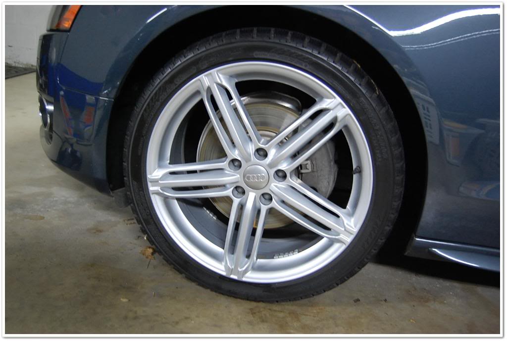 Name:  DSC_2010.jpg
Views: 106
Size:  77.6 KB