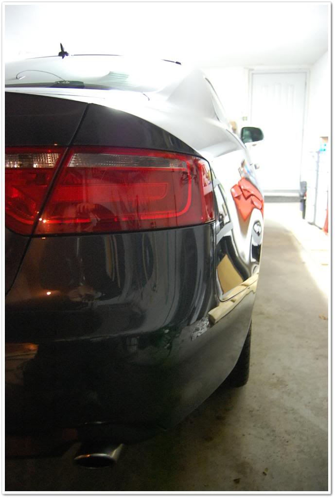 Name:  DSC_2017.jpg
Views: 92
Size:  57.0 KB