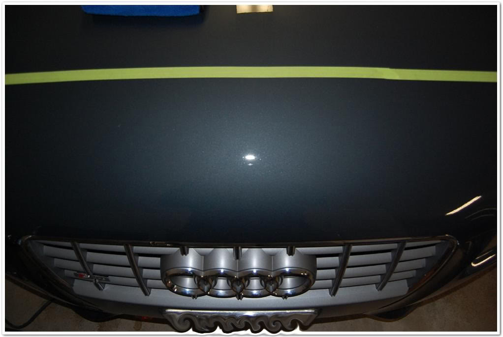 Name:  DSC_1985.jpg
Views: 98
Size:  62.5 KB