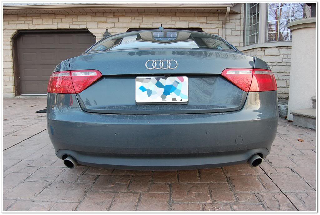 Name:  DSC_1963.jpg
Views: 179
Size:  110.9 KB