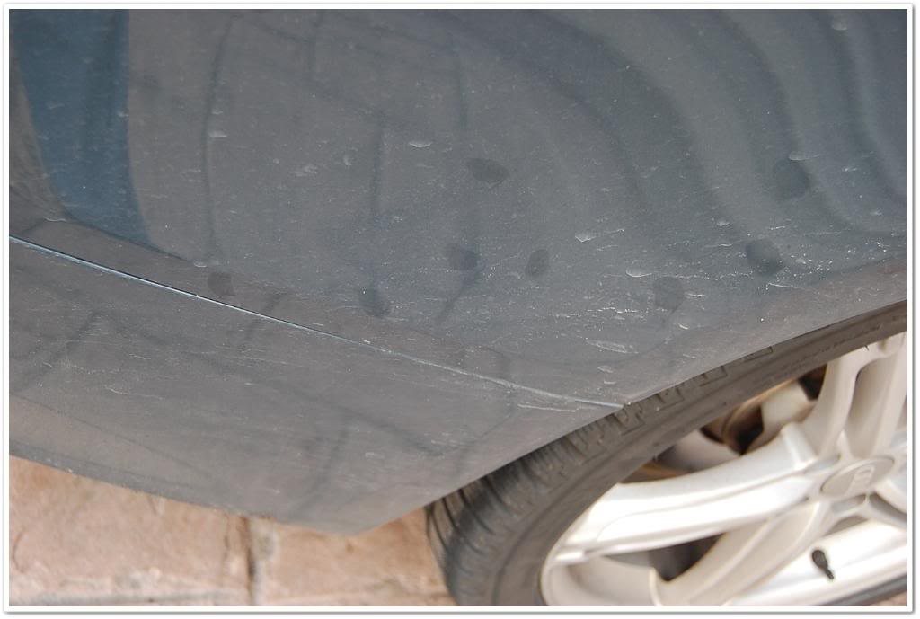 Name:  DSC_1964.jpg
Views: 130
Size:  57.5 KB