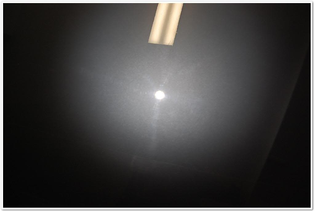 Name:  DSC_1967.jpg
Views: 98
Size:  27.9 KB