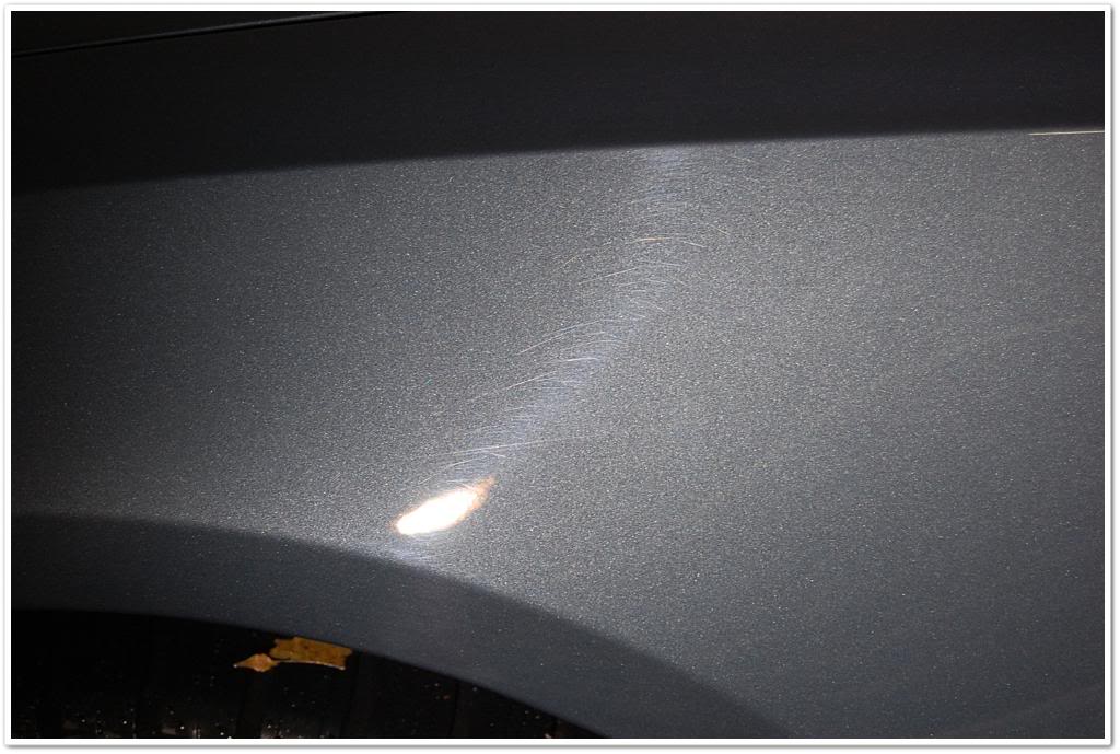 Name:  DSC_1968.jpg
Views: 131
Size:  93.2 KB