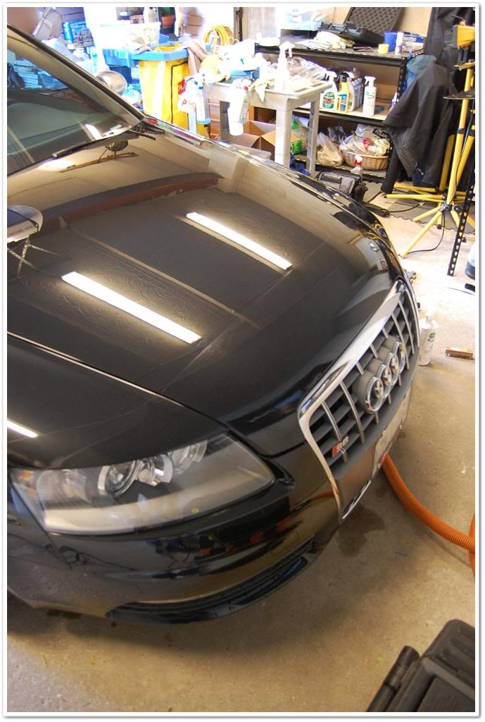 Name:  DSC_1906.jpg
Views: 125
Size:  98.3 KB