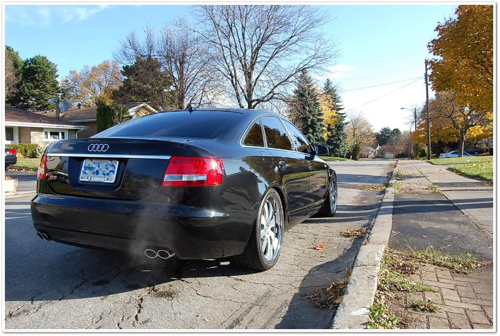 Name:  DSC_1920.jpg
Views: 108
Size:  176.8 KB