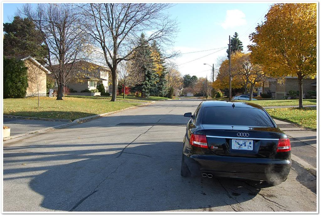 Name:  DSC_1929.jpg
Views: 88
Size:  169.2 KB