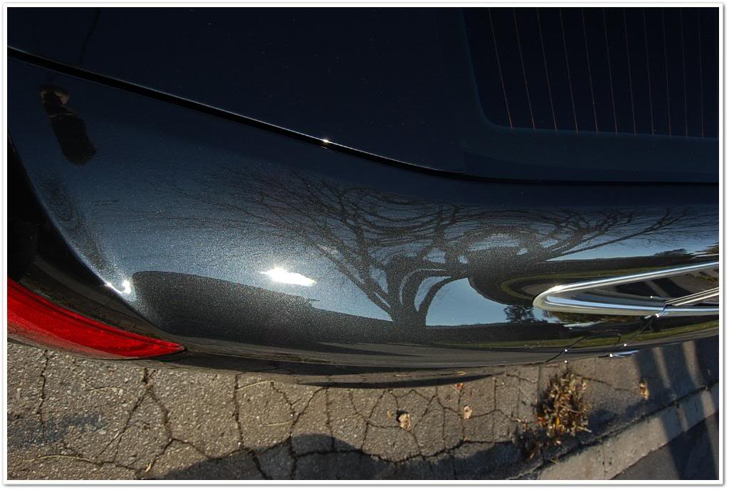 Name:  DSC_1933.jpg
Views: 132
Size:  94.3 KB