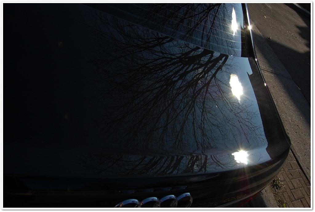 Name:  DSC_1934.jpg
Views: 101
Size:  69.4 KB