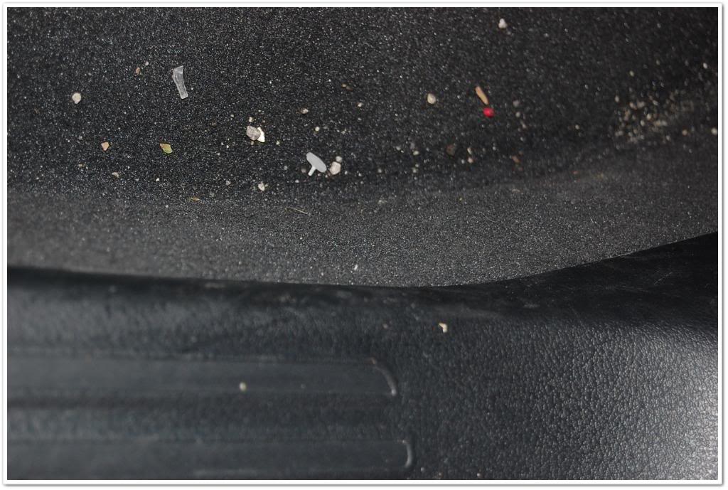 Name:  DSC_1884.jpg
Views: 131
Size:  114.2 KB