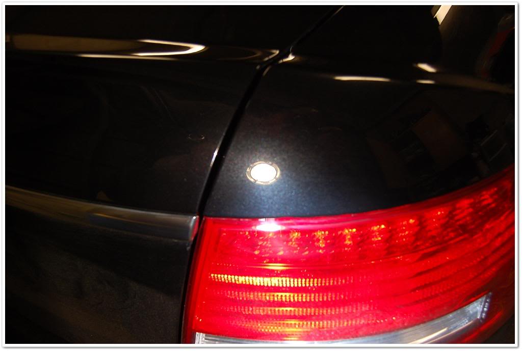 Name:  DSC_1895.jpg
Views: 85
Size:  56.3 KB