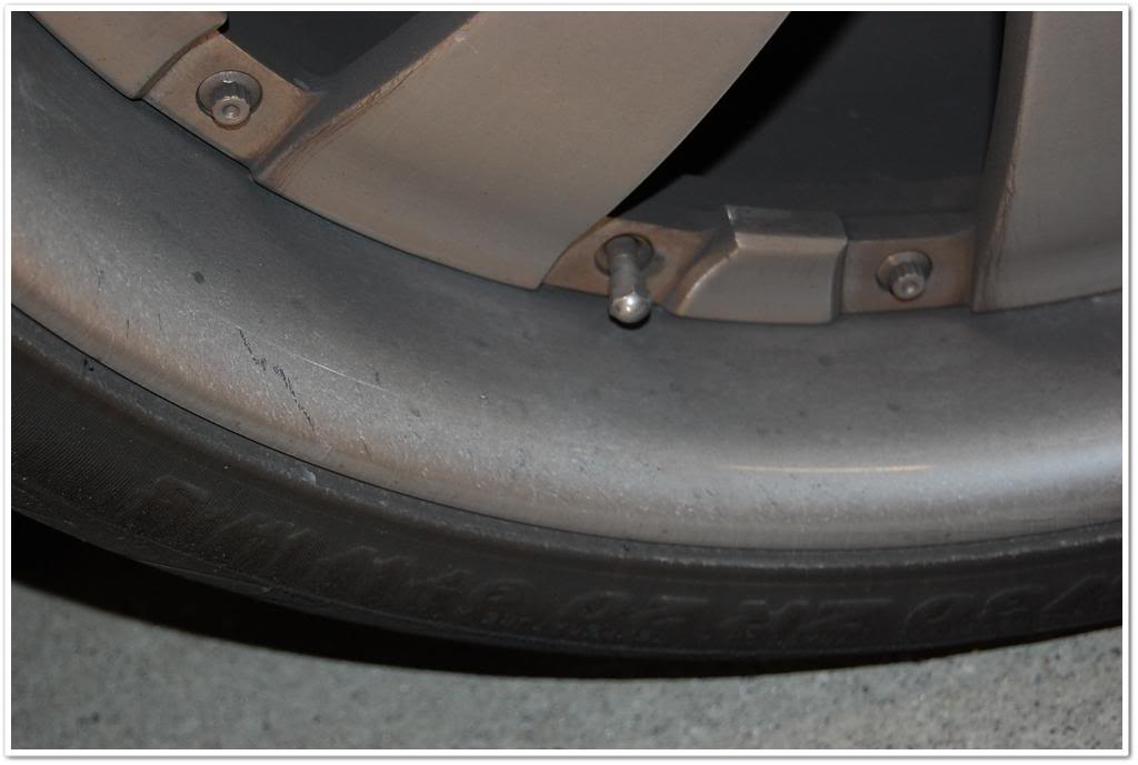 Name:  DSC_1860.jpg
Views: 130
Size:  54.2 KB